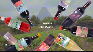 Tierra de Peña, el oasis de vinos naturales en Querétaro