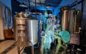 Cerveza, vino e ¿hidromiel?